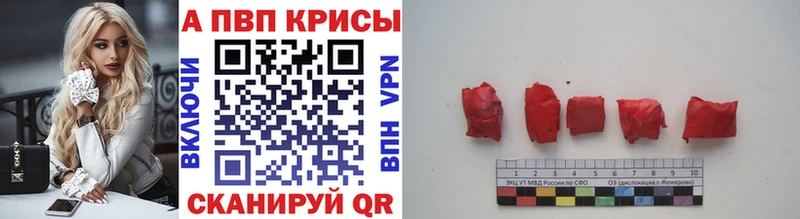A-PVP СК  KRAKEN как зайти  Венёв 