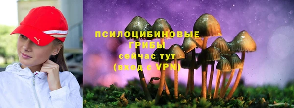 дурь Бородино