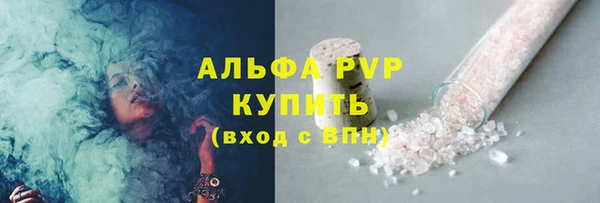 эйфоретик Вяземский