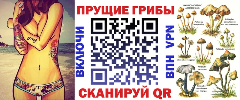 Псилоцибиновые грибы ЛСД  kraken рабочий сайт  Венёв 